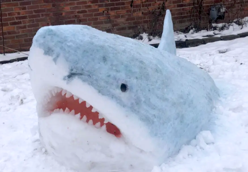Pic o’ the Week: Brrrrr! Icy Sharks Appear in Michigan