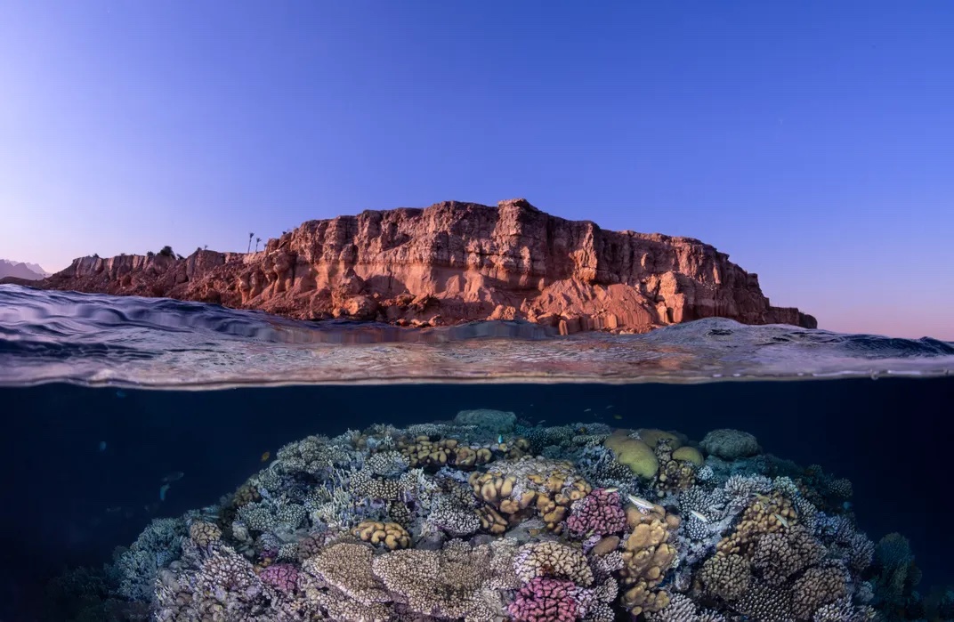 "An over-under view of an Egyptian coastline affords a symmetric look of the stark desert landscape and colorful pristine coral below the waterline." June 2022, © JillAnne McCarty 